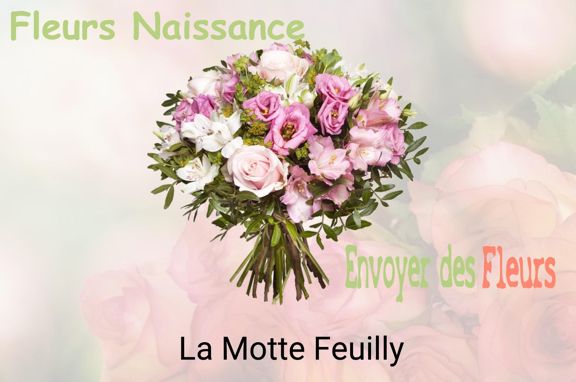 Bouquet de fleurs de naissance livré à La Motte-Feuilly